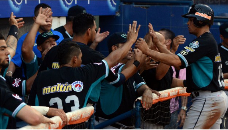 Los Bravos blanquearon a los Tigres