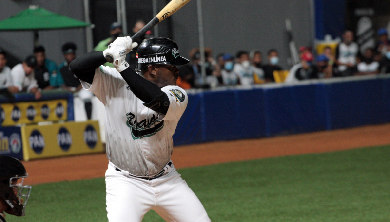 POLÉMICA DIVISIÓN DE HONORES EN MACUTO